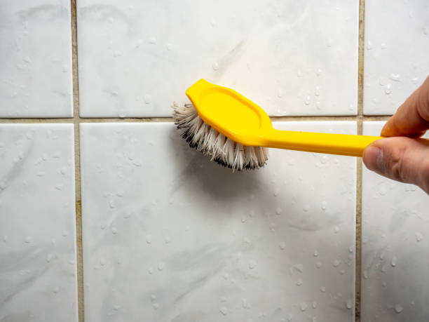 Best Post-Flood Mold Remediation in Sunrise Beach Village, TX