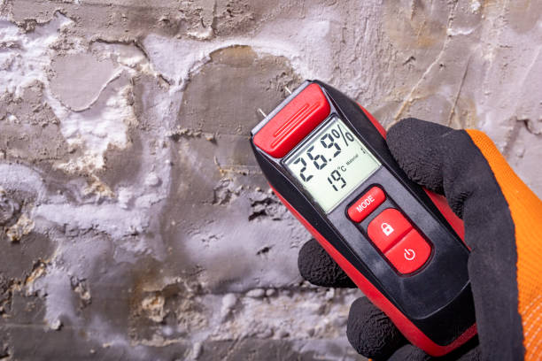 Best DIY Mold Remediation Support Services in Sunrise Beach Village, TX