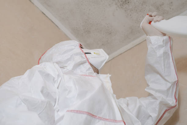 Best Mold Testing and Inspection Services in Sunrise Beach Village, TX